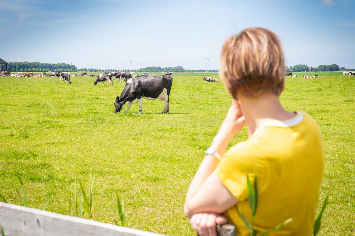 Kirsten van Valkenburg kijkt naar koe in de wei